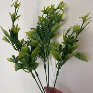 Зеленина